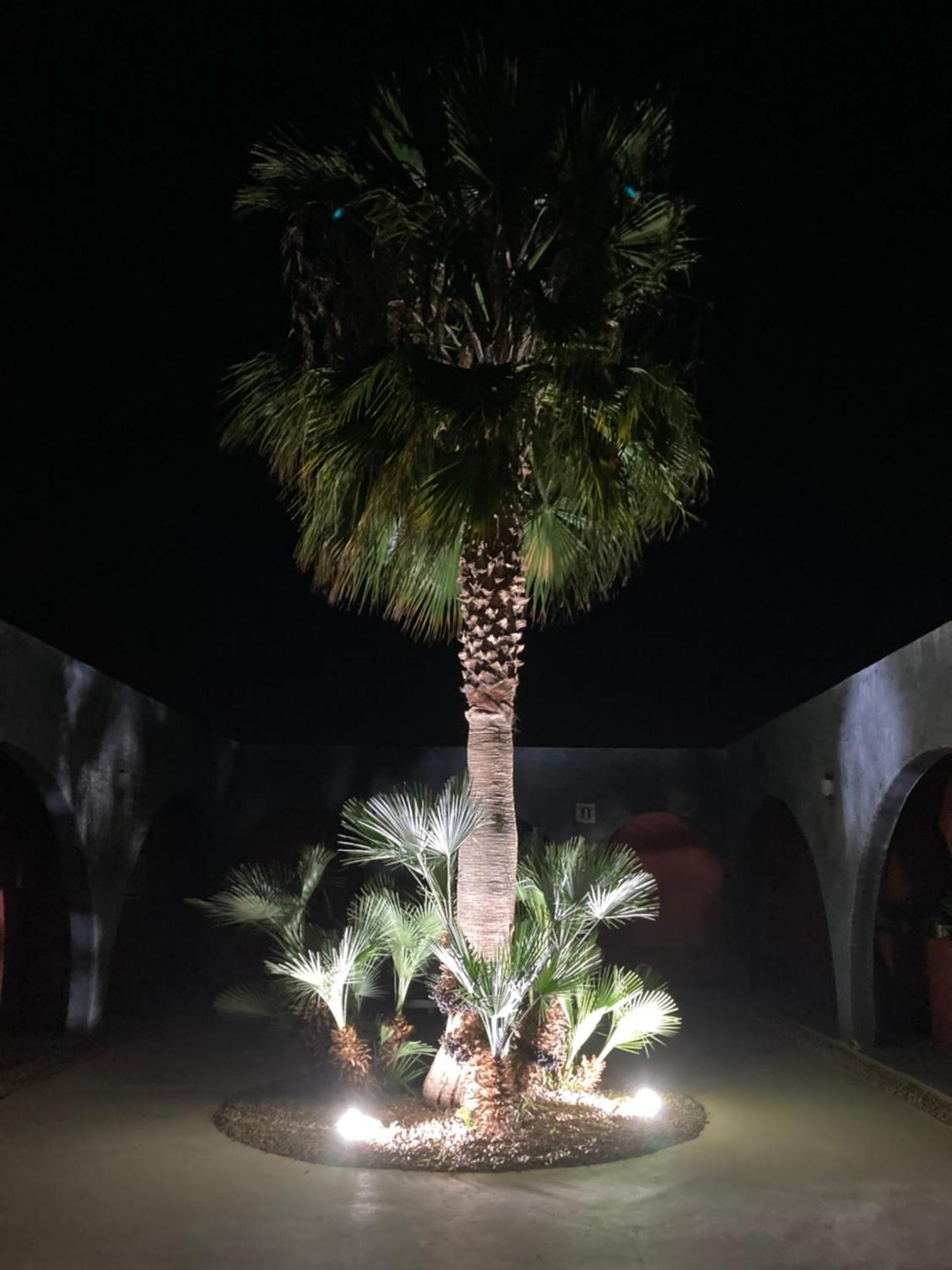 Villa Noraya Essaouira Exterior foto
